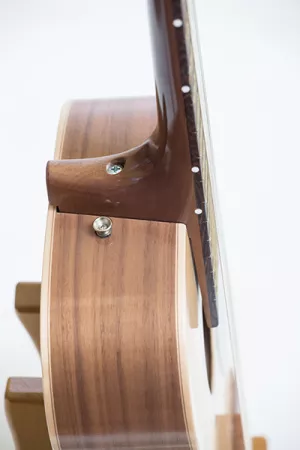 RHNG6B017 Акустическая гитара, Neva Guitars