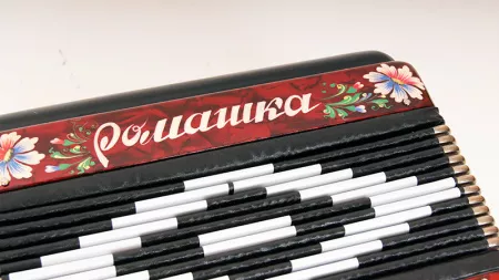 C20XL-C-RED Гармонь 
