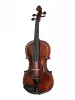 Professional Gama Special Скрипка 4/4, Gliga, P-V044-F