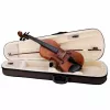 (U144U) Virtuoso Pro Скрипка 4/4, с футляром и смычком, Soundsation, VPVI-44