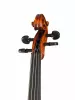 Master Gliga extra Ash Скрипка 4/4, Gliga, M-V044-OH