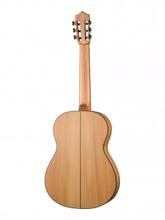 Flamenco Series Классическая гитара, Martinez, MFG-AS