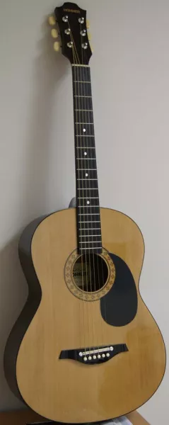 HW 200 Акустическая гитара Hohner 1