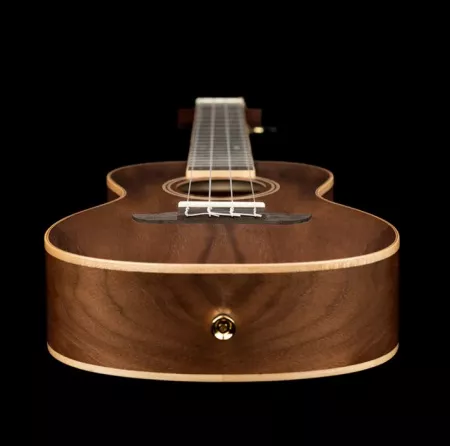 Horizon Series Укулеле концертный, с чехлом, орех, Ortega, RUWN