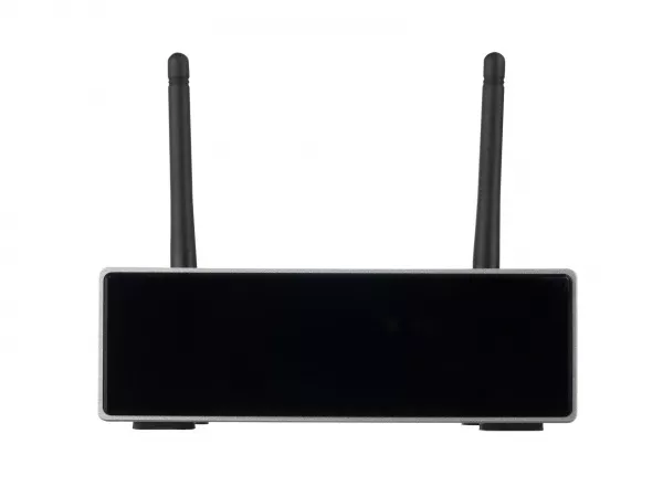 Усилитель потокового аудио Wifi, LAudio, LASM0250  рис.2 