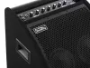 Монитор для электронной ударной установки, 200Вт, Soundking, DS200