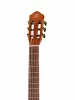 Family Series Pro Классическая гитара 4/4, желтая, Ortega, R170F