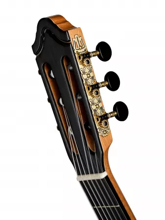 Artist Series Solea Классическая гитара, Kremona, SOLEA-SA-C-w/case
