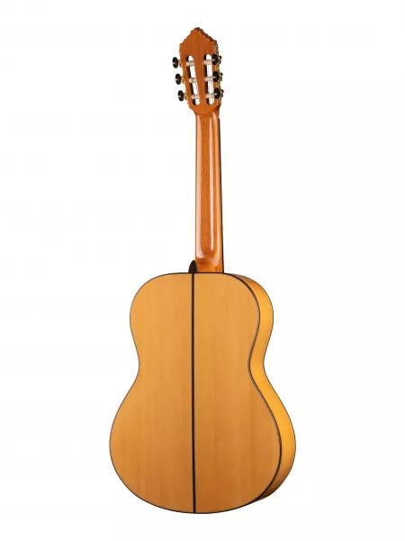 Flamenco Concert 10 Fc Классическая гитара, с футляром, Alhambra, 8.224  рис.2 