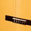 Flamenco Классическая гитара 4/4, Hora, N1105