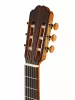 Performer Series Rondo Классическая гитара, со звукоснимателем, Kremona, R65CW-TL