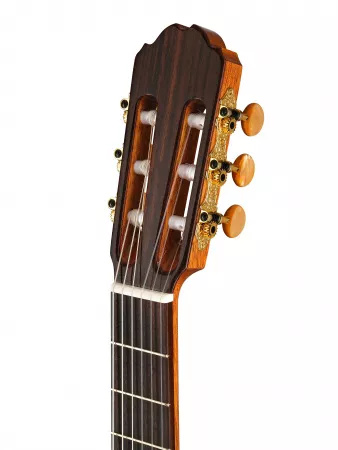 Performer Series Rondo Классическая гитара, со звукоснимателем, Kremona, R65CW-TL