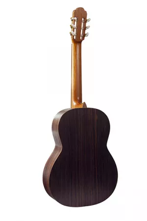 SCCLASCTNRW Soloist 