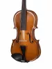Beginer Genial 2 Nitro Скрипка 3/4, Gliga, B-V034