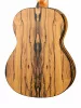 Classical Conservatory 6 White Ebony Классическая гитара, Alhambra, 8.891V
