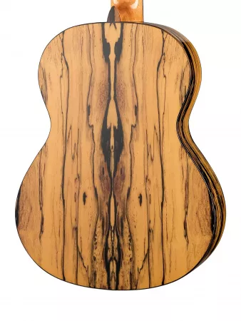 Classical Conservatory 6 White Ebony Классическая гитара, Alhambra, 8.891V