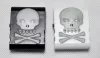 ST-711-BK Skull Цифровой тюнер Cherub