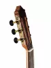 Flamenco Series Классическая гитара, Martinez, MFG-RS