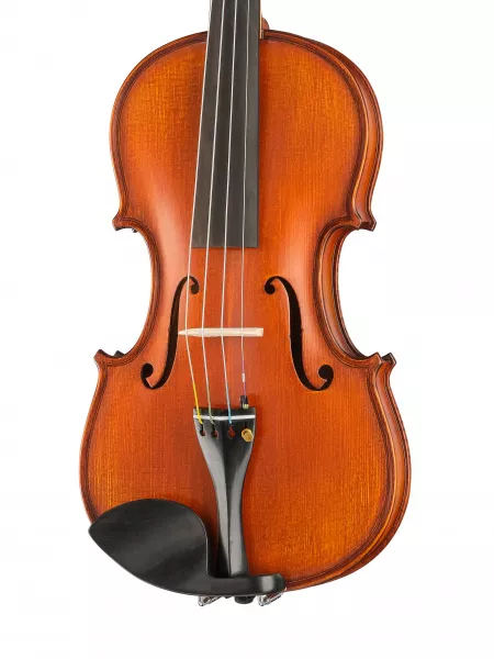 Master Gliga extra Ash Скрипка 4/4, Gliga, M-V044-OH  рис.2 