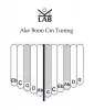 KL-A-P11BA-D Калимба пента 11, большая, Ake-Bono, черная, Kalimba LAB