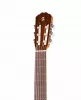 1C HT EZ Классическая гитара 4/4, со звукоснимателем, Alhambra, 794-1C