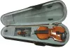 FLT-VP1/16 Скрипка ученическая в комплекте, верхняя и нижняя деки из ламината, гриф из клена, наклад