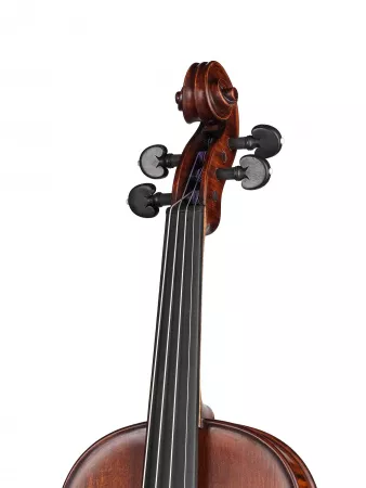 Professional Gama Special Antique Скрипка 4/4, Gliga, P-V044-S