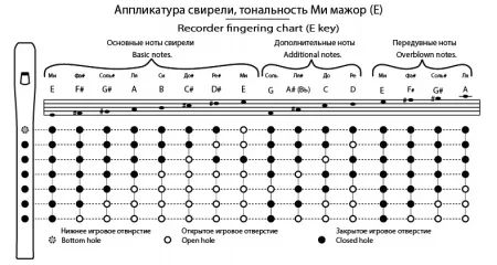 Свирель Ми (Е), 6 отверстий, Таежная Музыкальная Артель, TMA-SBE6