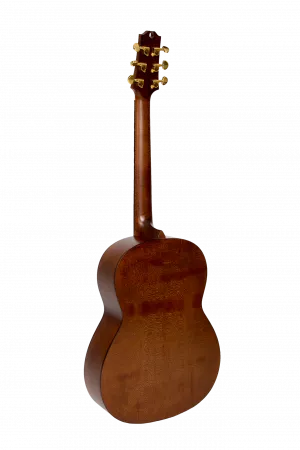№17 Электро-акустическая гитара, NewTone, N17OSMLNTE