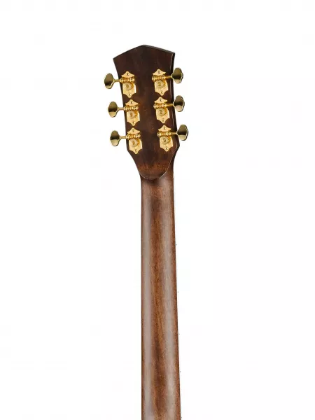 Gold Series Акустическая гитара, цвет натуральный, с чехлом, Cort, Gold-O8-WCASE-NAT  рис.2 