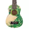 Art Series Укулеле сопрано, с чехлом, рисунок Leafy, Cascha, HH-2602