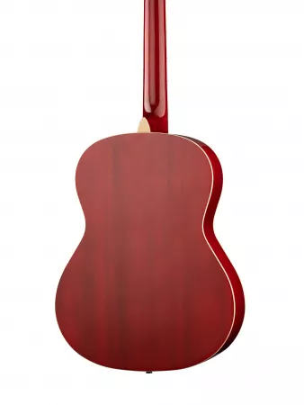 Акустическая гитара Naranda, CAG240RDS