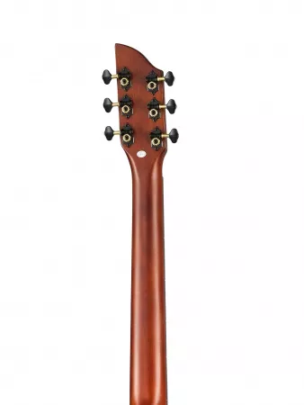 Акустическая гитара, Ramis, RA-70