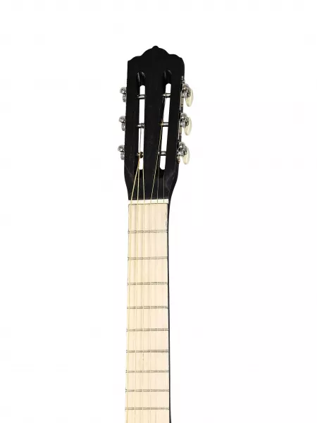 Акустическая гитара, цвет эбен/шампань, АККОРД, ACD-40A-12d-EC  рис.2 