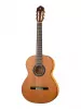 Classical Conservatory 6 Olivo Классическая гитара, Alhambra, 8.890V