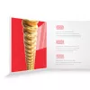 XS Комплект струн для акустической гитары, бронза 80/20, 13-56, D'Addario, XSABR1356
