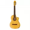Flamenco CTW Классическая гитара 4/4, с вырезом и звукоснимателем, Hora, N1105CTW