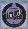 EJ44TT ProArte DynaCore Струны для классической гитары, титан, очень сильное натяжение, D'Addario
