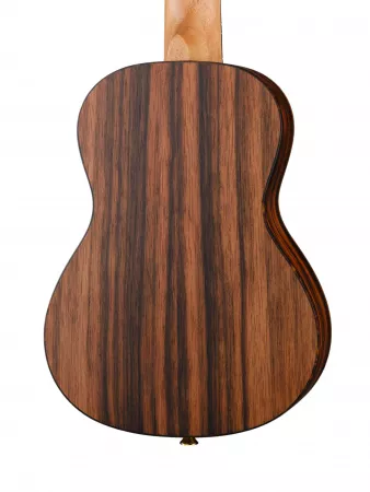 Ebony Series Укулеле концертный, с чехлом, Ortega, RUEB-CC