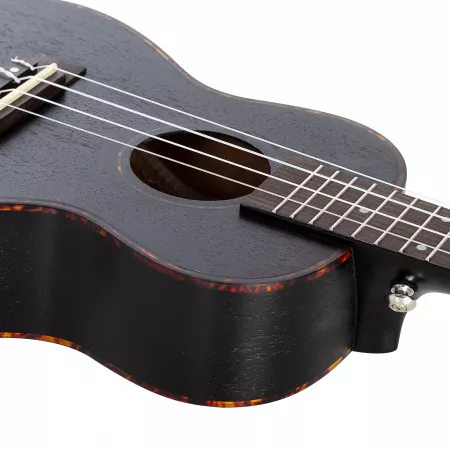 Mahogany Series Укулеле концертный, с чехлом, черный, Cascha, HH-2300