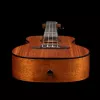 Horizon Series Укулеле концертный, цвет натуральный, Ortega, RUHZ-MM
