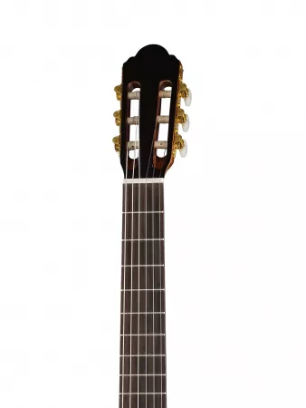 Классическая гитара, Ramis, RS-30S
