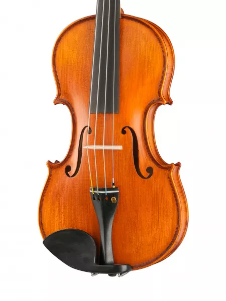 Professional Gama Unique Willow Скрипка 4/4, Gliga, PU-V044-GI  рис.2 