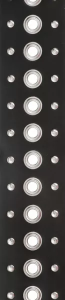 25LGS02 Metal Collection Кожаный ремень для гитары, заклепки «Grommet 1», Planet Waves