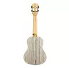 Bamboo Series Graphite Укулеле концертный, с чехлом, графит, Cascha, HH-2316