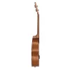 Mahogany Series Укулеле тенор, с чехлом, цвет натуральный, Cascha, HH-2048