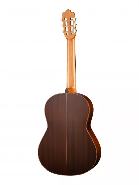 Классическая гитара Soloist 700 4/4, Prodipe, JMFSOLOIST700  рис.2 