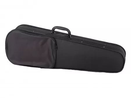 Скрипка в комплекте Fleet, FLT-VP1/2