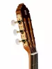 Classical Conservatory 6 Olivo Классическая гитара, Alhambra, 8.890V