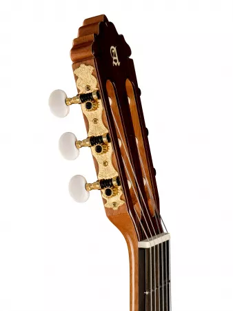 Classical Conservatory 6 Olivo Классическая гитара, Alhambra, 8.890V